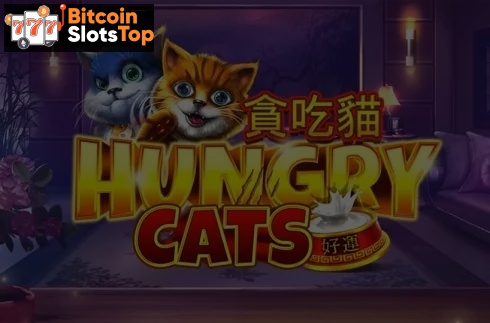 Hungry Cats Bitcoin online slot