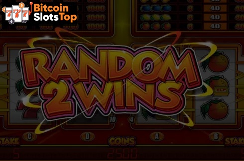 Random 2 Wins Bitcoin online slot