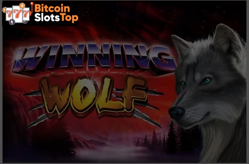 Winning Wolf Bitcoin online slot
