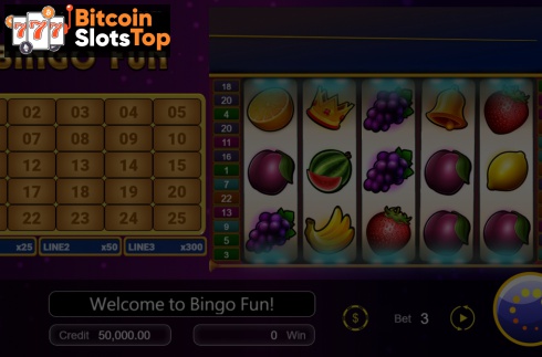 Bingo Fun