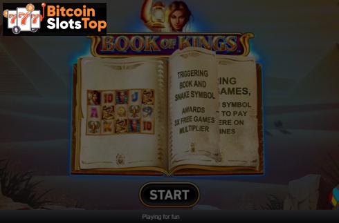 Book Of Kings