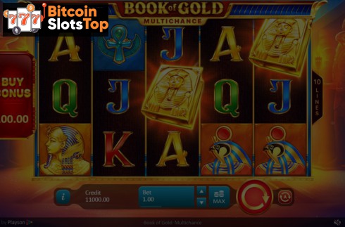 Book of Gold Multichance