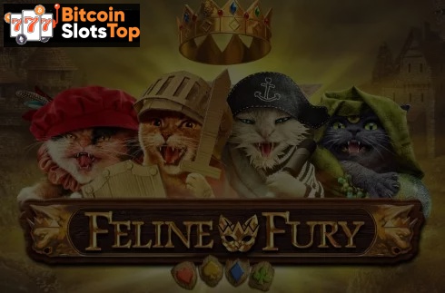 Feline Fury Bitcoin online slot