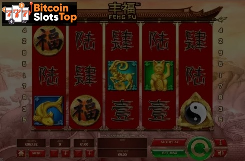 Feng Fu