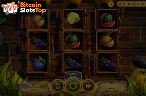 Fruit Farm (Spinmatic)