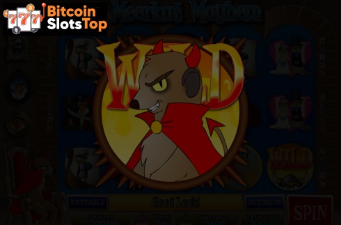 Meerkat Mayhem Bitcoin online slot