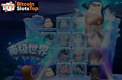 Polar Party Bitcoin online slot