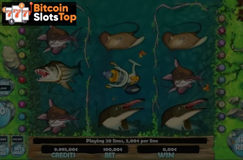 RF Big Catch