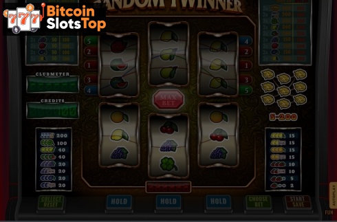 Random Twinner