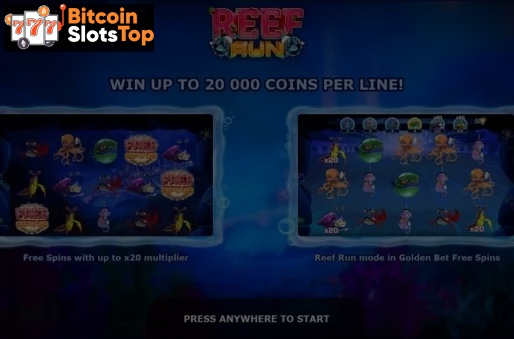 Reef Run