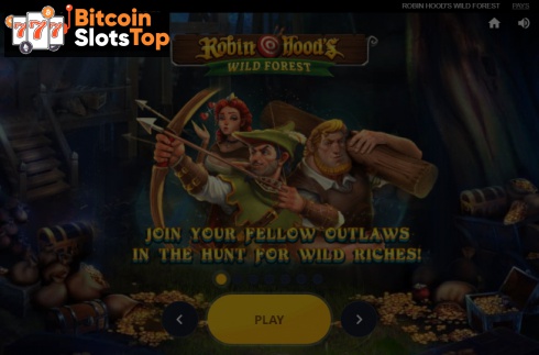 Robin Hoods Wild Forest