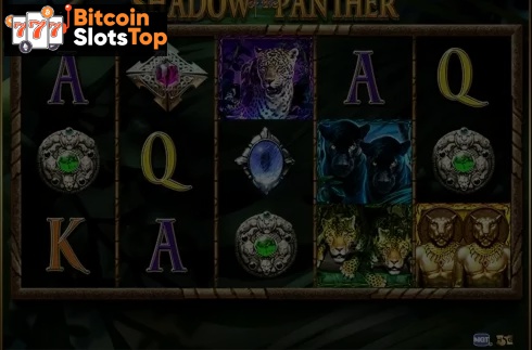 Shadow of the Panther