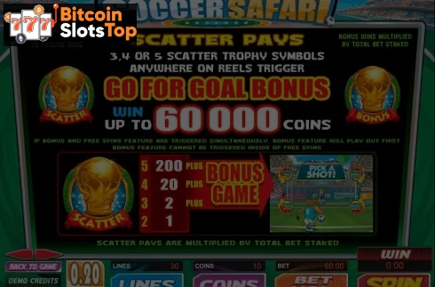 Soccer Safari