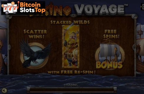 Viking Voyage
