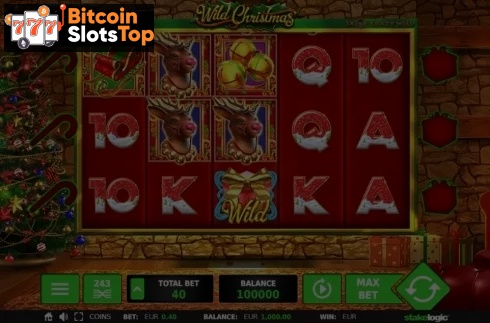 Wild Christmas