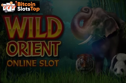 Wild Orient Bitcoin online slot