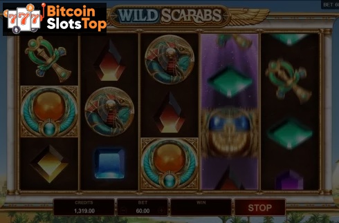 Wild Scarabs