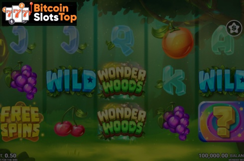 Wonder Woods