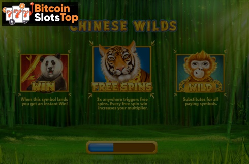 Chinese Wilds Bitcoin online slot