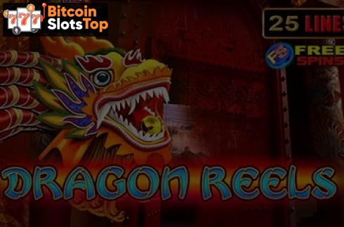 Dragon Reels Bitcoin online slot