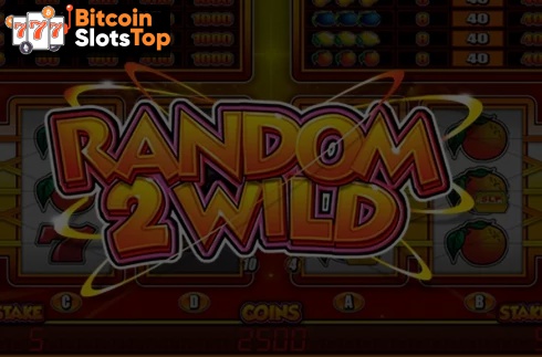 Random 2 Wild Bitcoin online slot