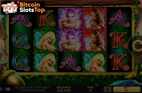 Secrets of the Forest 2 Pixie Paradise