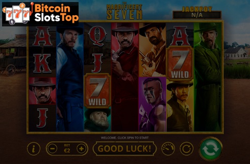 The Magnificent Seven (Skywind Group)