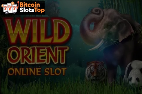 Wild Orient Bitcoin online slot